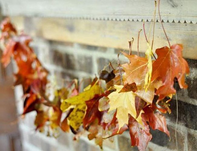 Autumn Leaves Draped Gold