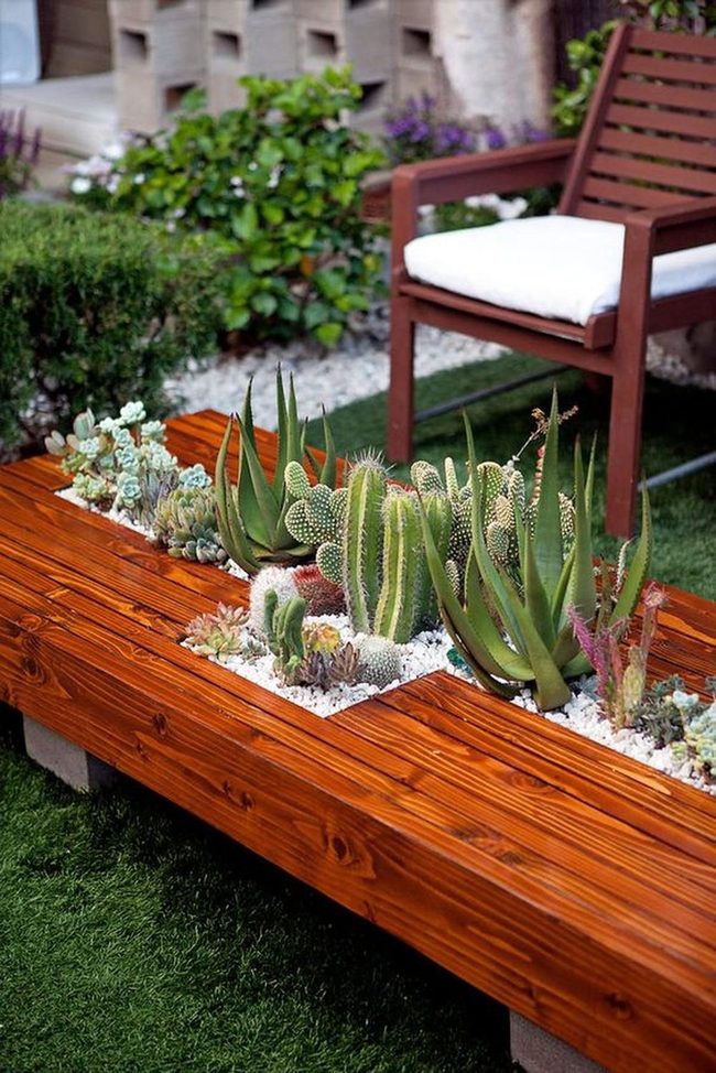 Polished Wood Benches, Desert Succulents