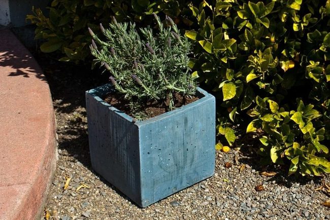 Blue Planter Green Garden Statement