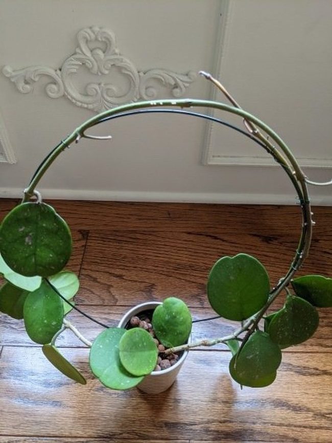 Copper Wire Garden Wall