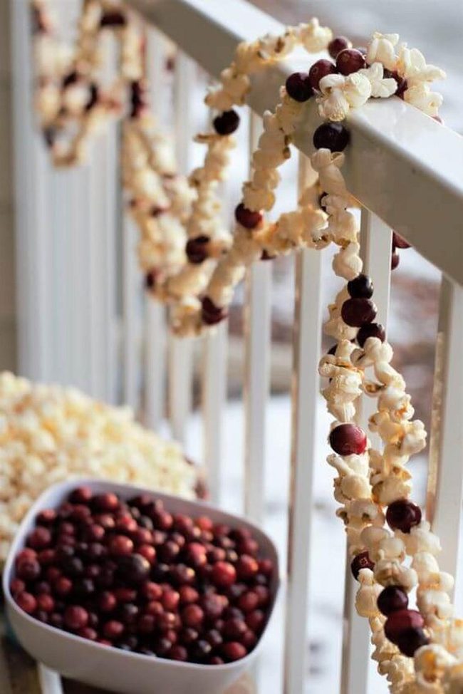 Creamy White Kernels Deep Red Berries
