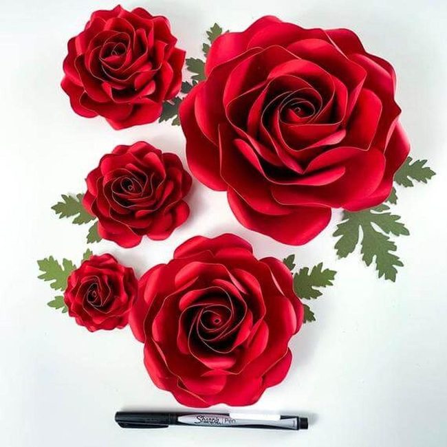 Six-Size Rose Blooms