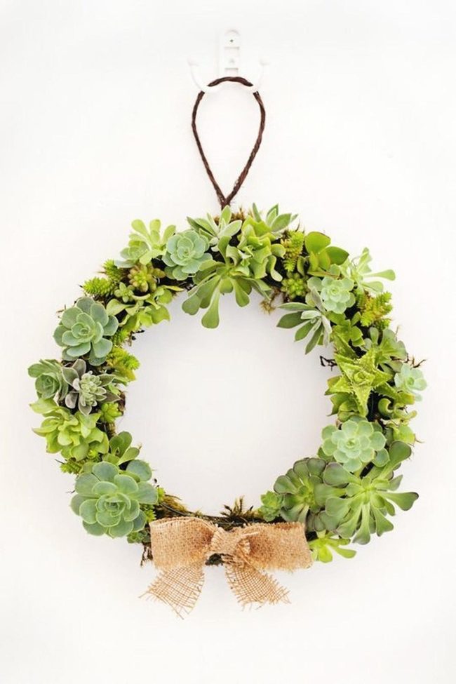 Living Green Succulent Wreath