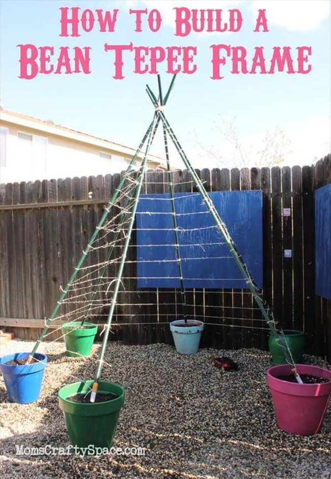 Green Bean Teepee Tower