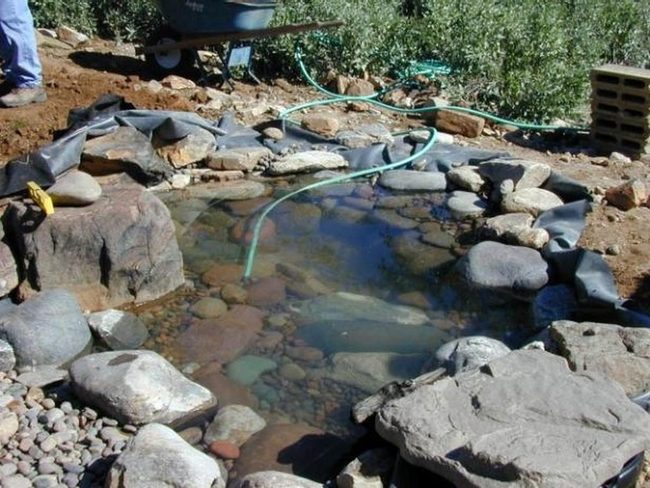 Backyard Pond Under Construction