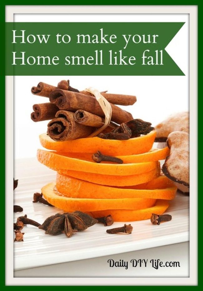 Stacked Citrus Meets Autumn Spices
