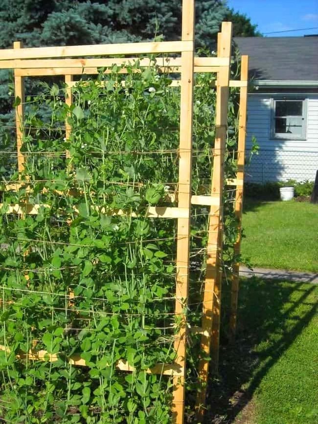 Wooden Trellises Lift Garden Layers