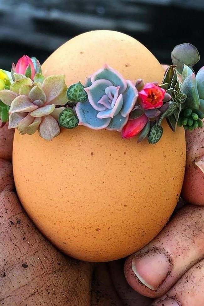 Green Succulents On Brown Easter Egg
