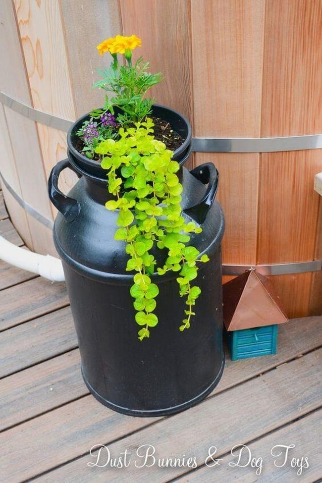 Cream Jug Cascading Greenery