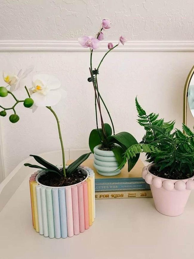 Colorful Planters Living Corner