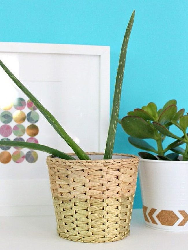 Gold Spray Paint Planters