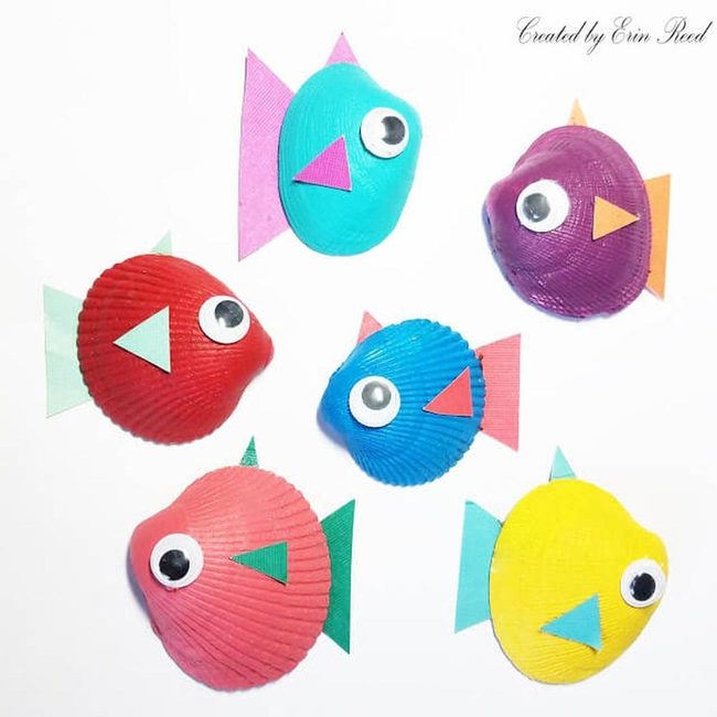 Painted Shell Tropical Fish