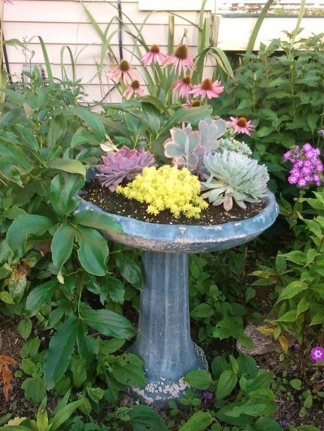 Weathered Stone Succulent Pedestal