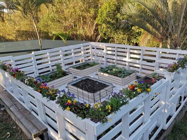 White Raised Beds With Integrated Fence