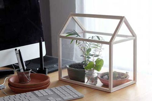 Glass Box Plant Shelter