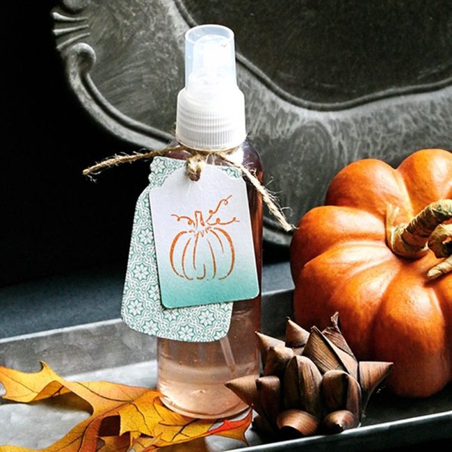 Pumpkin Bottles Orange Autumn