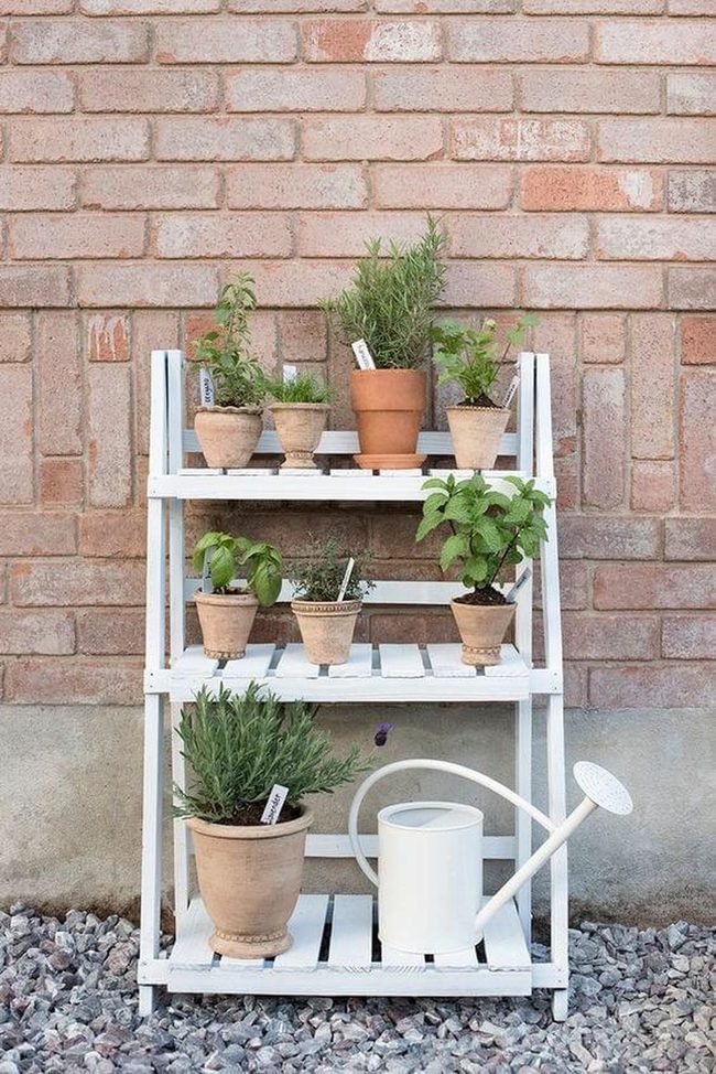 Wooden Shelf Herb Garden