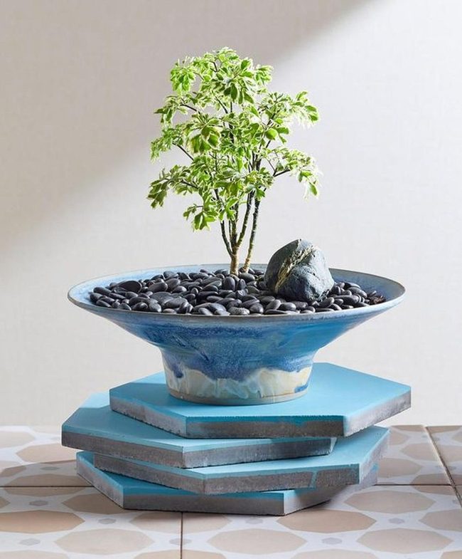 Miniature Tree Desktop Meditation