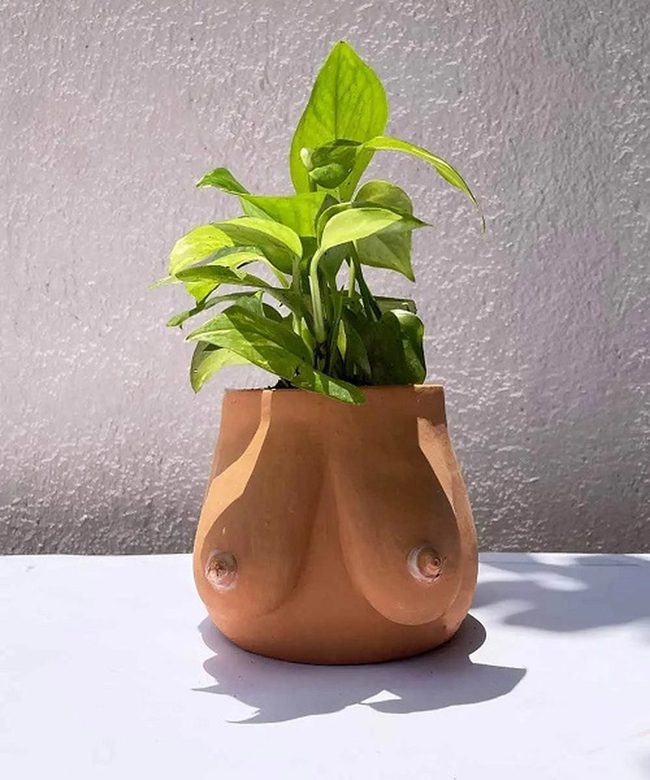 Curved Ceramic Form Planters
