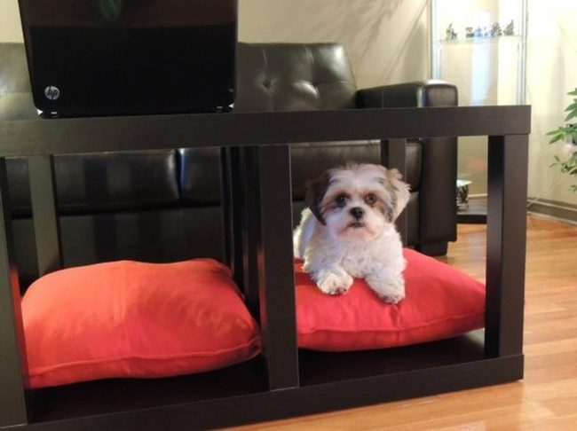 Red Cushions Pop Against Black Leather