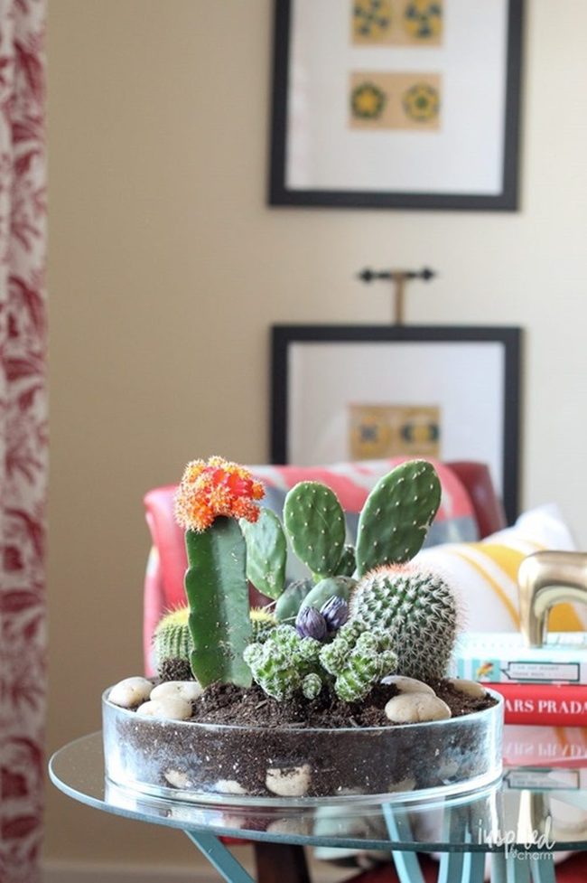 Glass Terrariums, Desert Miniatures