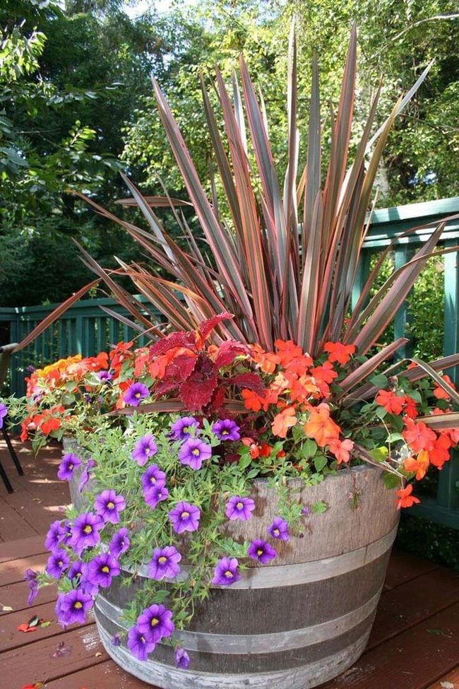 Oversized Barrel Planters Front Entry