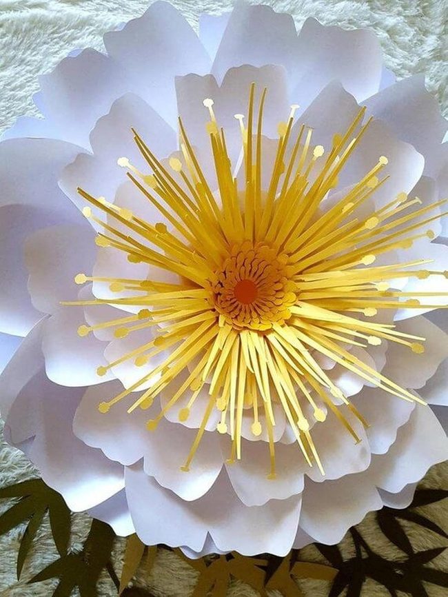 Dimensional Petals, Infinite Style