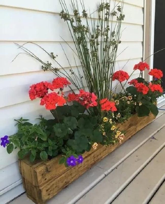 Cascading Geraniums, Natural Wood