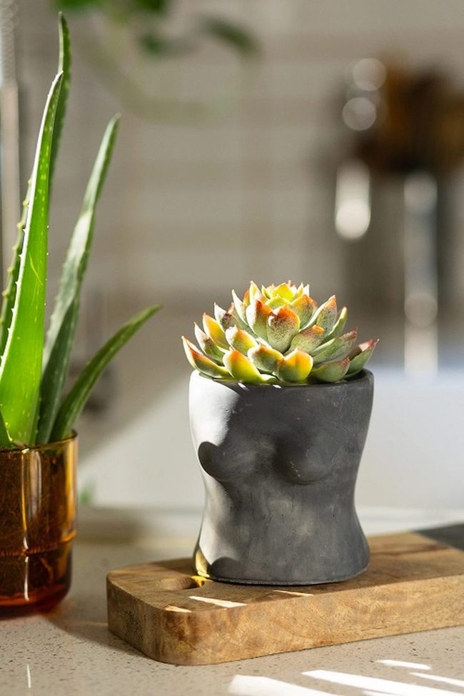 Terracotta Breast Mini Pots