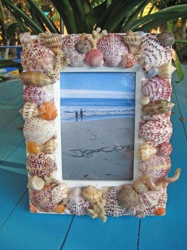 Seashells Bring Coastal Warmth Home