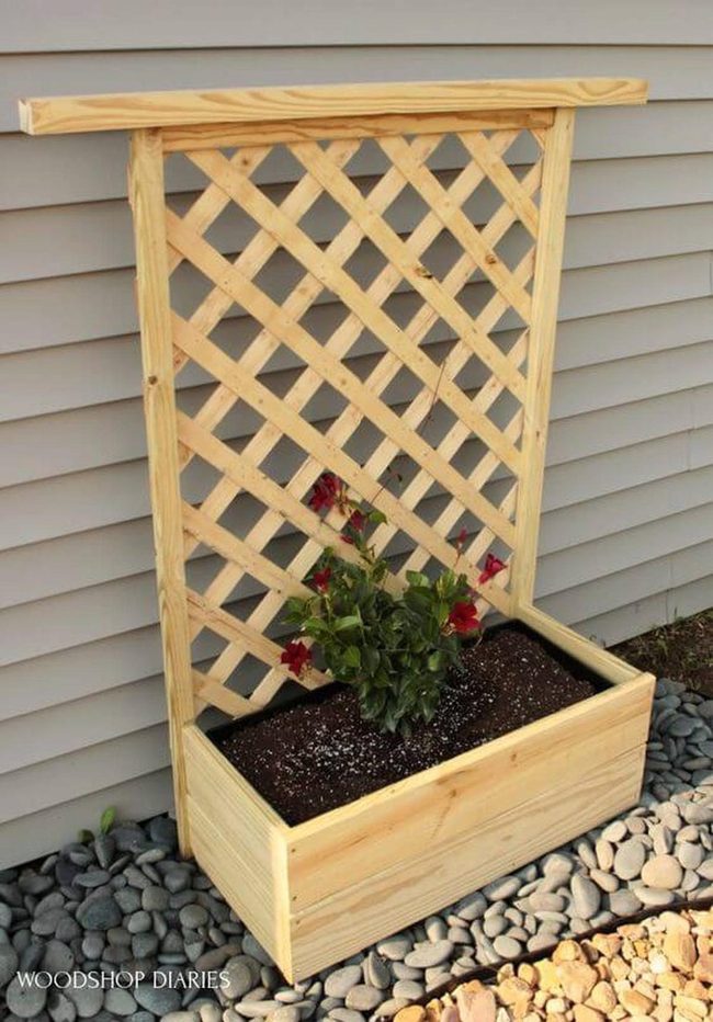 Vertical Green Trellis Garden