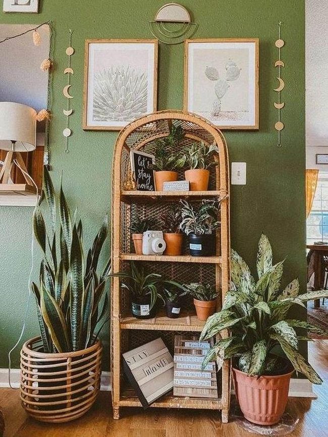 Hand-Crafted Wood Shelves