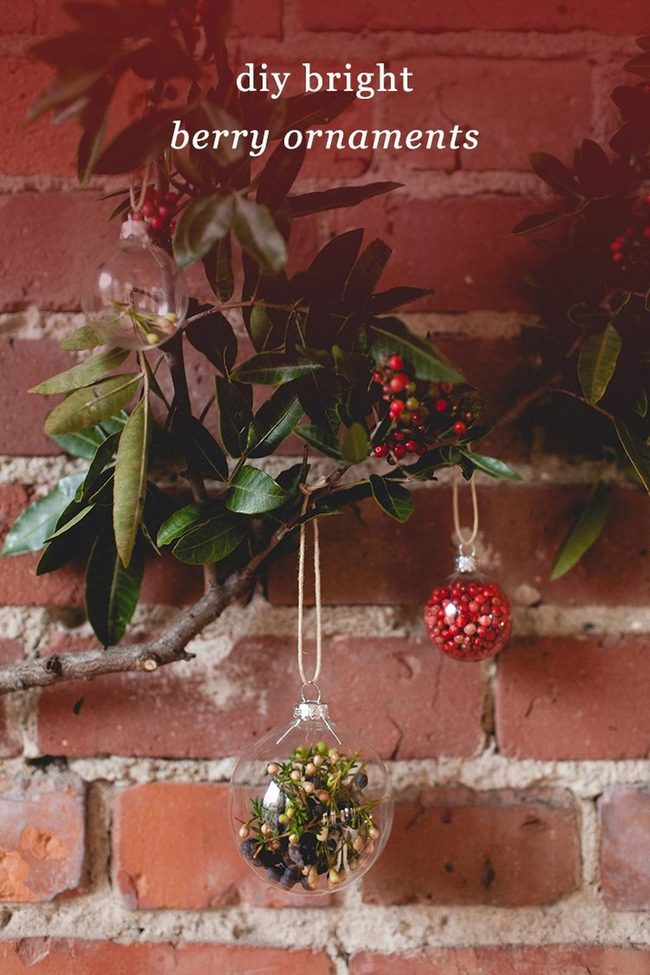 Red Berries Against Warm Brick
