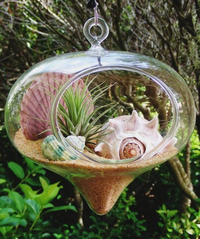Floating Glass Gardens
