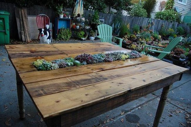 Wooden Table With Succulent Center