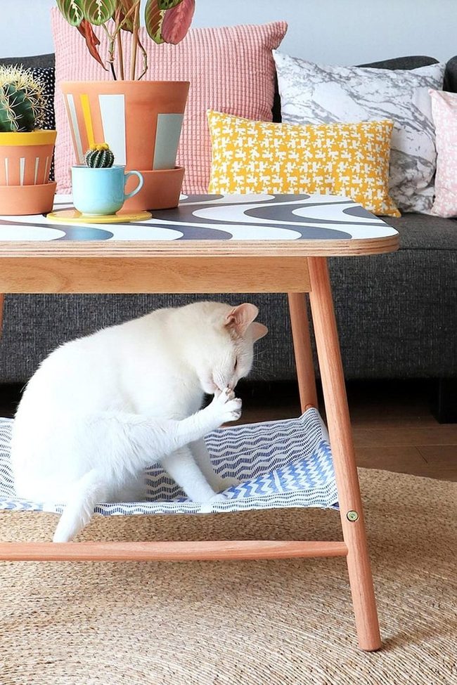 White Space Bold Patterns Play