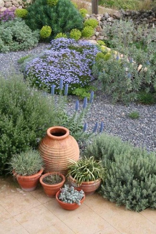 Purple Flowers Among Grey Stone Gardens