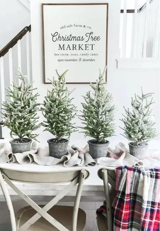 Miniature Trees On Snowy White Table