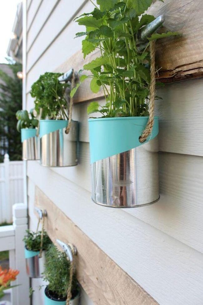 Cascading Green Kitchen Walls