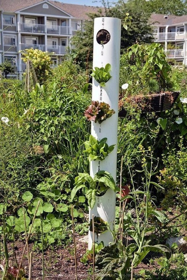 White Pipe Vertical Gardens