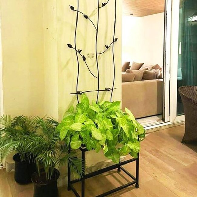 Metal Vines On Industrial Frames