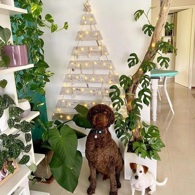 Monstera Green Meets Wooden Christmas