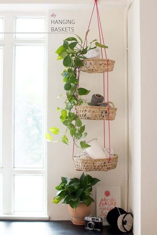 Tiered Tropical Fabric Storage