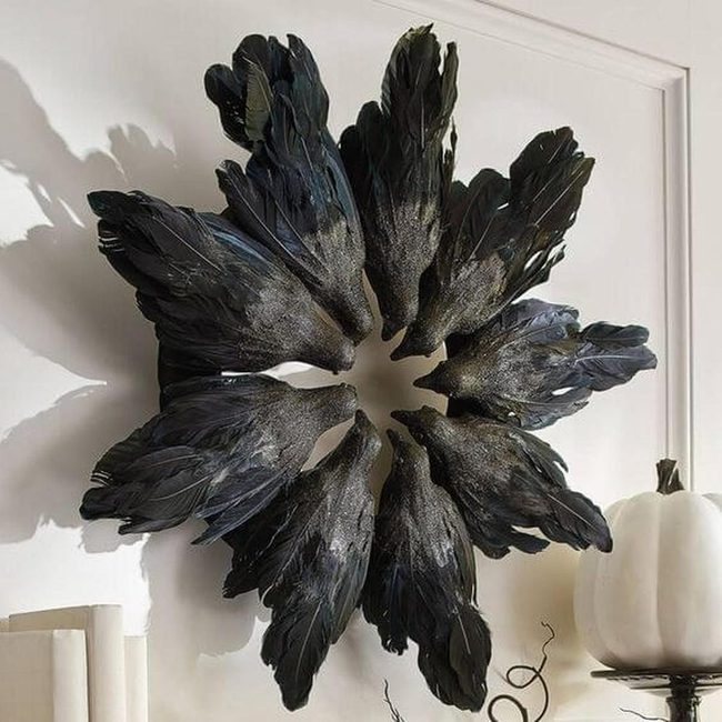 Black Feather Crow Circle