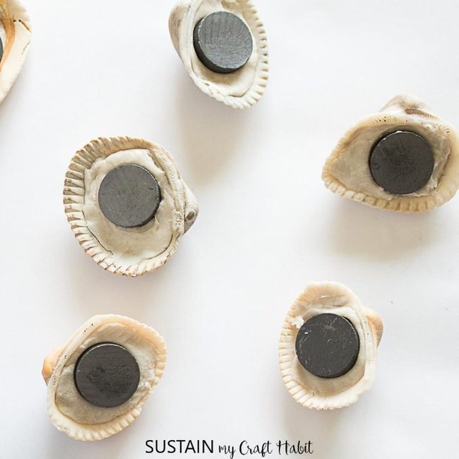Real Shell Beach Magnets