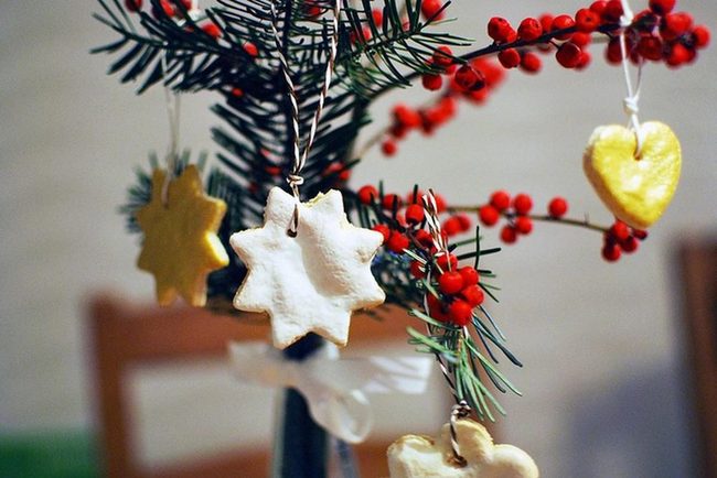 Red Berries And Pine Branches