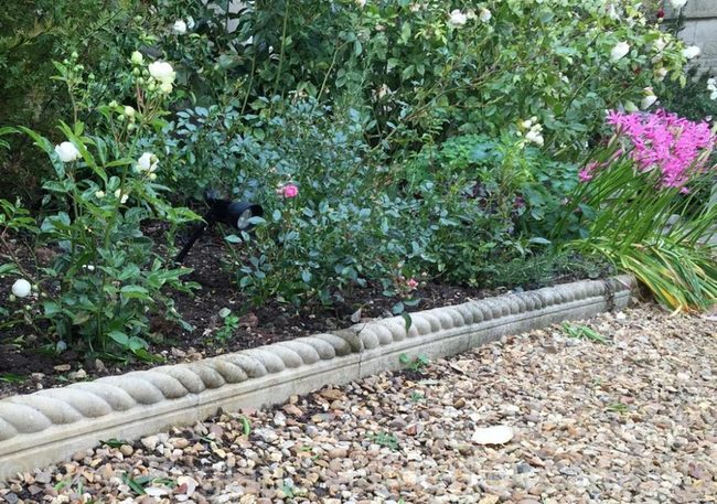 Stone Curves Frame Your Garden