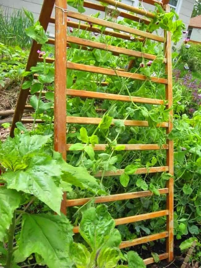 Upcycled Crib Rails Garden Trellis