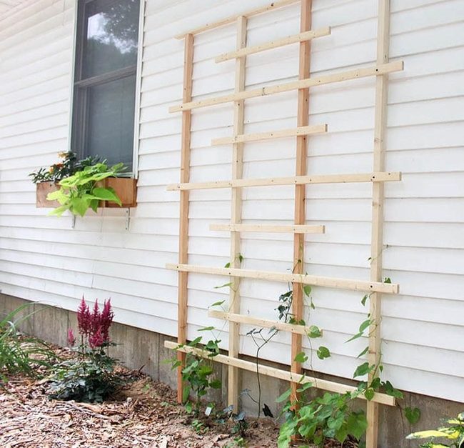Natural Wood Lattice Garden Frame