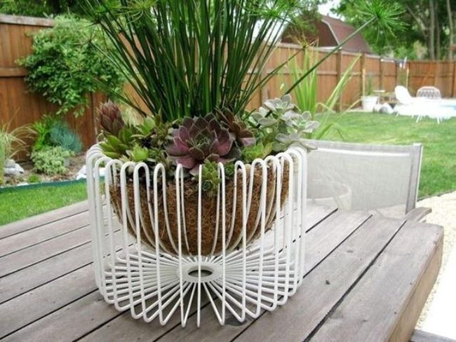White Frame Green And Purple Garden